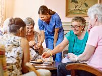 Hospice Agency With Medicare Provider 