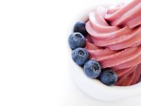 Frozen Yogurt Franchise - Absentee Run