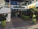 Salad Farm Restaurant Franchise - Remodeled