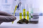 Cannabis Laboratory - High Volume