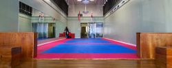 Taekwondo Studio - Profitable, Established