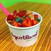 Yogurtland with High Vol and Net and Potential