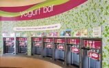 Menchies Franchise - In Busy Shopping Center