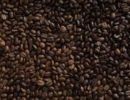 Leading Coffee Roasters with Wholesale Accounts
