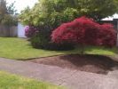 Thriving Landscaping Business 
