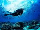 Scuba Diving Company - Well Established